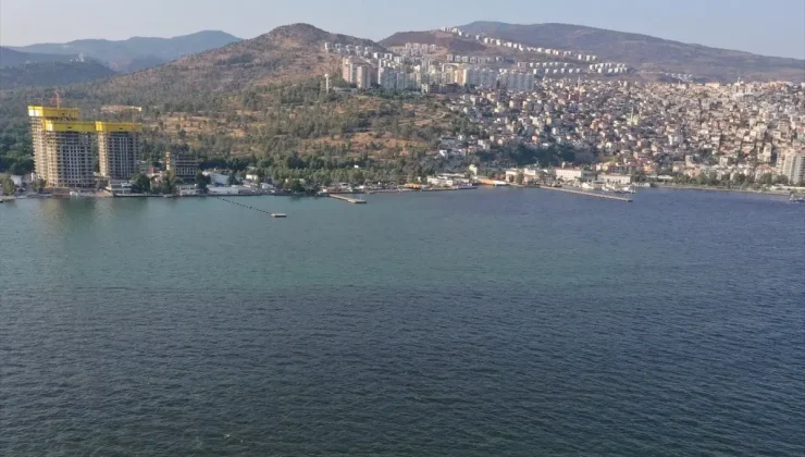 İzmir Körfezi’ndeki Balık Ölümleri Plankton Artışından Kaynaklanıyor